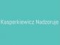 kasperkiewicz nadzoruje wrocław - nadzór inwestorski